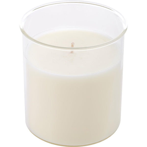 SPARKLING CHAMPAGNE by Northern Lights (UNISEX) - ESQUE CANDLE INSERT 9 OZ